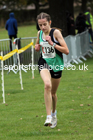 Girls under-15s Northern Cross Country Relays, Graves Park, Sheffield. Photo: David T. Hewitson/Sports for All Pics